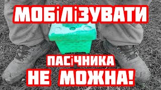 ✅Мобілізація для пасічника - це кінець професійної кар'єри