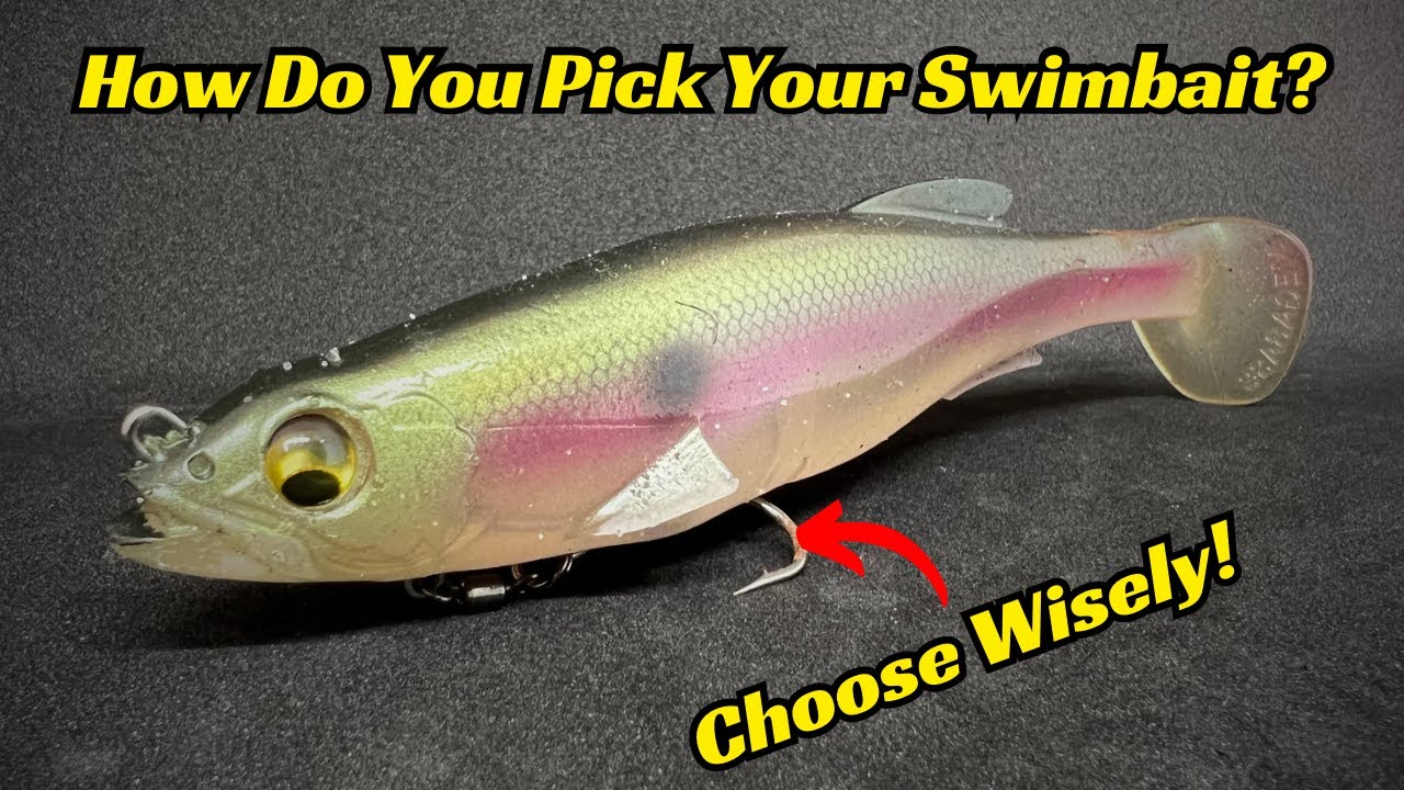 Watch What SWIMBAIT Jigheads We Throw and WHY (The JUICE) Video on