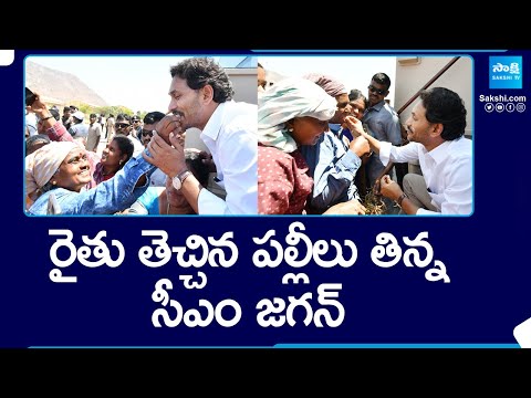 CM YS Jagan Bus Yatra At Tirupati District | Memantha Siddham | AP Election 2024 @SakshiTV - SAKSHITV