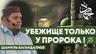 Убежище Только У Пророка! ﷺ  Шамиль Багандалиев