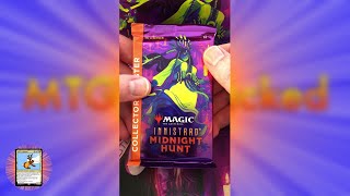 AWESOME Innistrad: Midnight Hunt Collector shorts