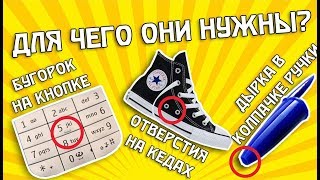 ДЛЯ ЧЕГО ОНИ НУЖНЫ?