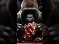 Gorilla BBQ Ribs Feast 🍖