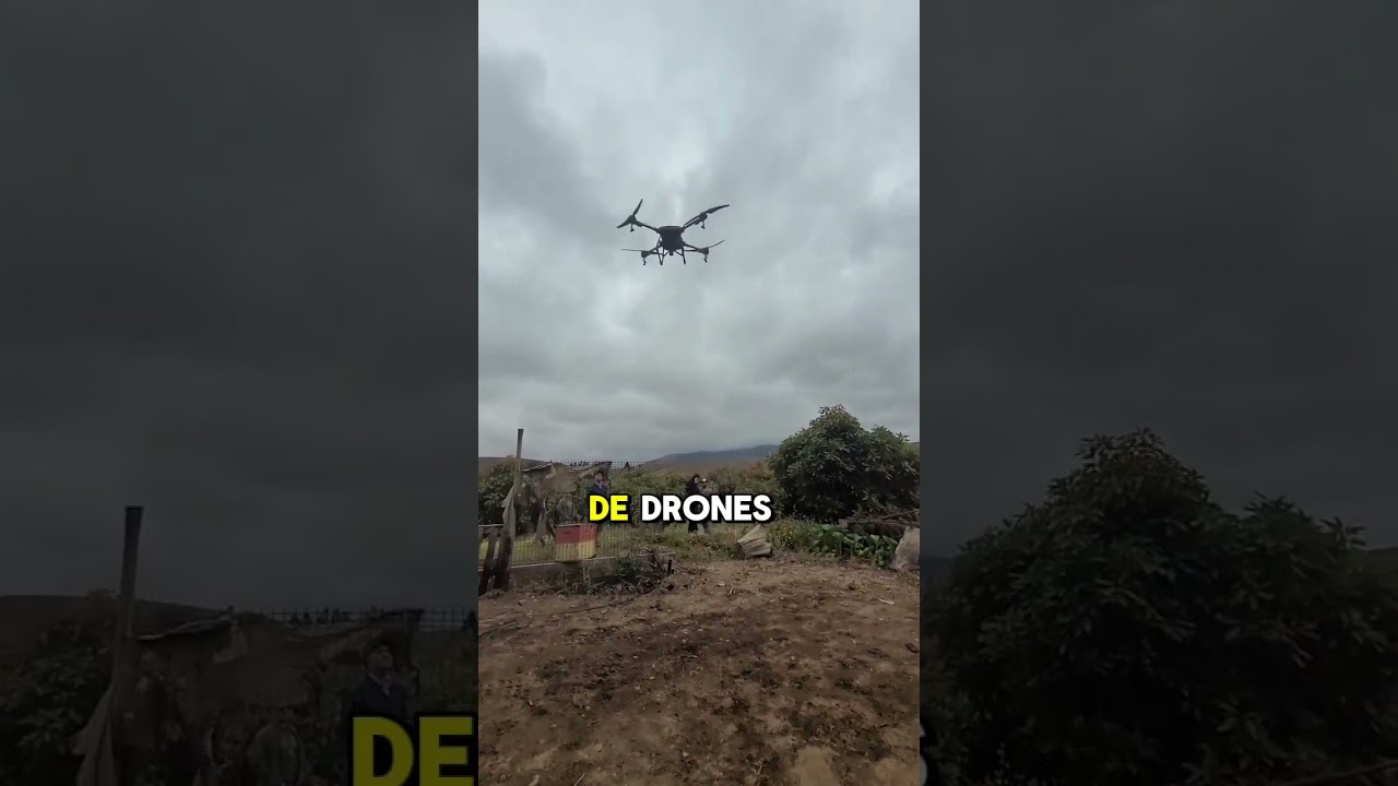 taller de aplicación y eficiencia en Huentelauquén, Canela