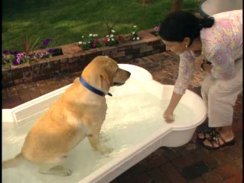 bone-pool-commercial.-heavy-duty-play-pool-for-dogs