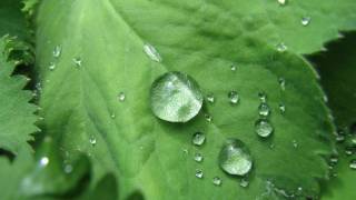#1 Best Techno & Trance Songs Ever - Raindrops