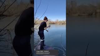 В окрестностях Усть-Каменогорска произошел замор рыбы