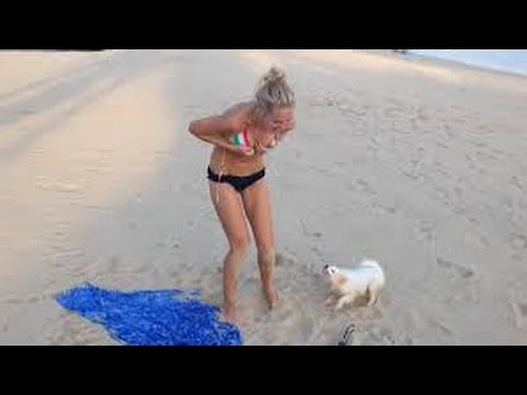Funny Videos 2018 Funny Sexy Girls Video Try Not To Laugh Or Grin Compilation Funny Videos 2018 Funny Sexy Girls Video Try Not To Laugh Or Grin Compilation