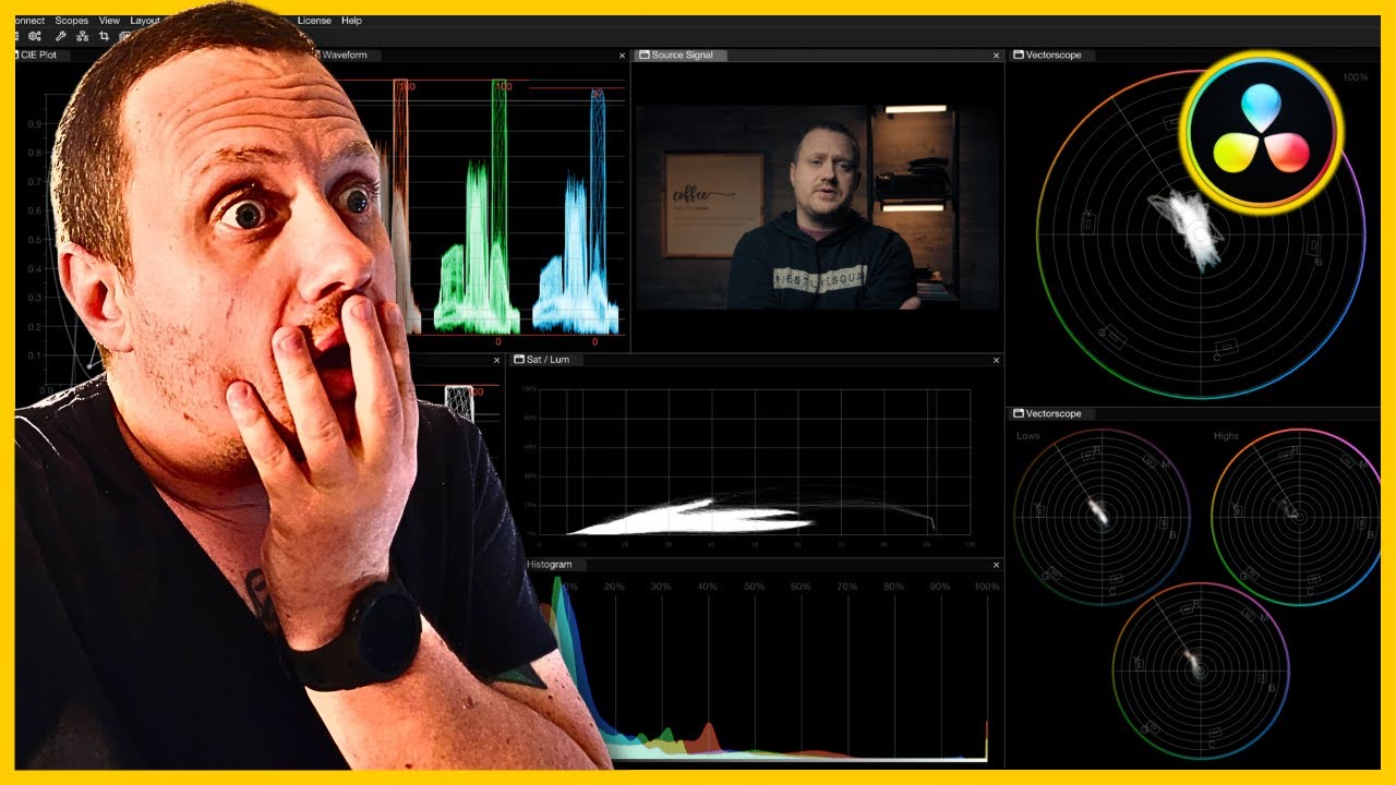 Upgrade Your Video Scopes with this Davinci Resolve Plugin