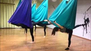 birds fly south yoga 6