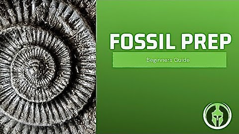 Fossil Prep Tips for Beginners | Engraver (Dremel 290)