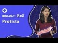 Protista | Hindi | Diversity In Living Organisms | Biology | Class 9