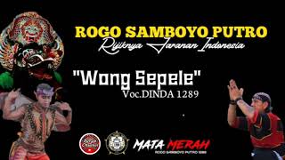 LAGU JARANAN WONG SEPELE || ROGO SAMBOYO PUTRO