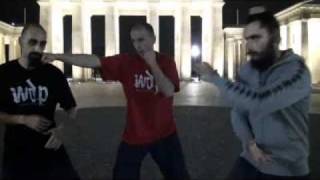 Wudang specific TUI SHOU - SnakeCrane System screenshot 3