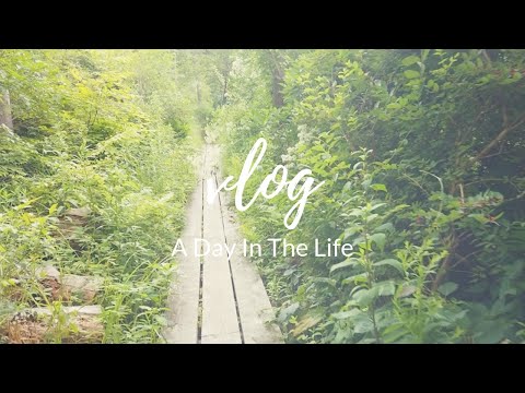 Vlog: A Day In the Life