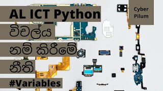AL ICT Python Variable Naming Rules (Sinhala)- පයිතන් විචල්‍ය නම් කිරීමේ නීති