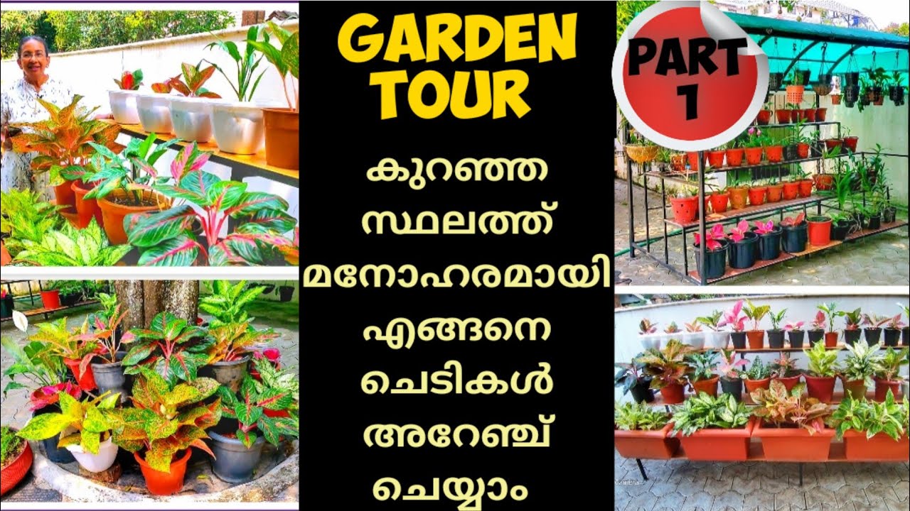 GARDEN TOURHow to setup beautiful garden in small spaceGARDEN