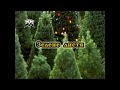 Зелене листя (Караоке) - Українські застольні пісні