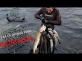 Pesca Submarina en Noruega Documental HD