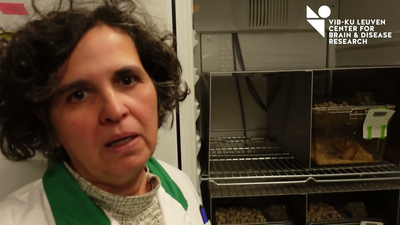 Vlog Rodent Models & Behavior