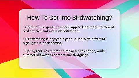 How To Get Into Birdwatching? - Ecosystem Essentials