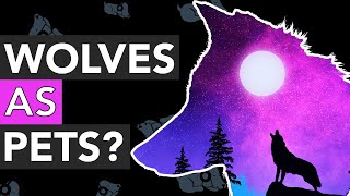 Can You Own a Wolf as a Pet?