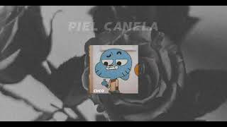 Piel Canela cuco (Sub Español no lyrics)