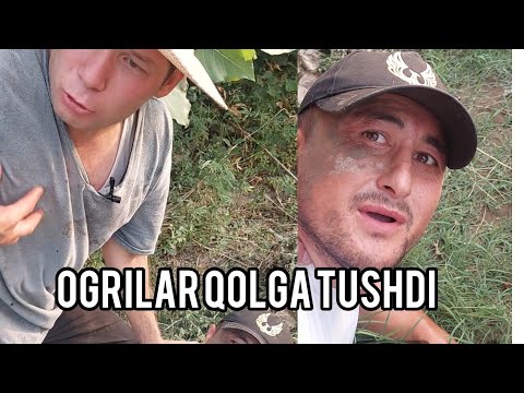O'G'RILAR USHLANDI‼️