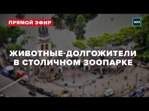 Животные-долгожители в столичном зоопарке | Прямая трансляция - Москва 24