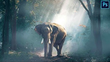 Learn How to Add Fog Mist To Your Photographs | Photoshop Tutorial