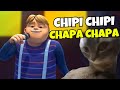 Hayr chipi chipi chapa chapa rafadan tayfa