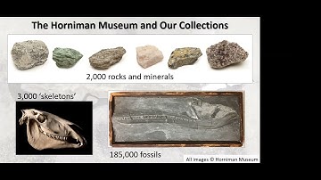 EMRG: The Rutland Sea Dragon - Excavating Britain