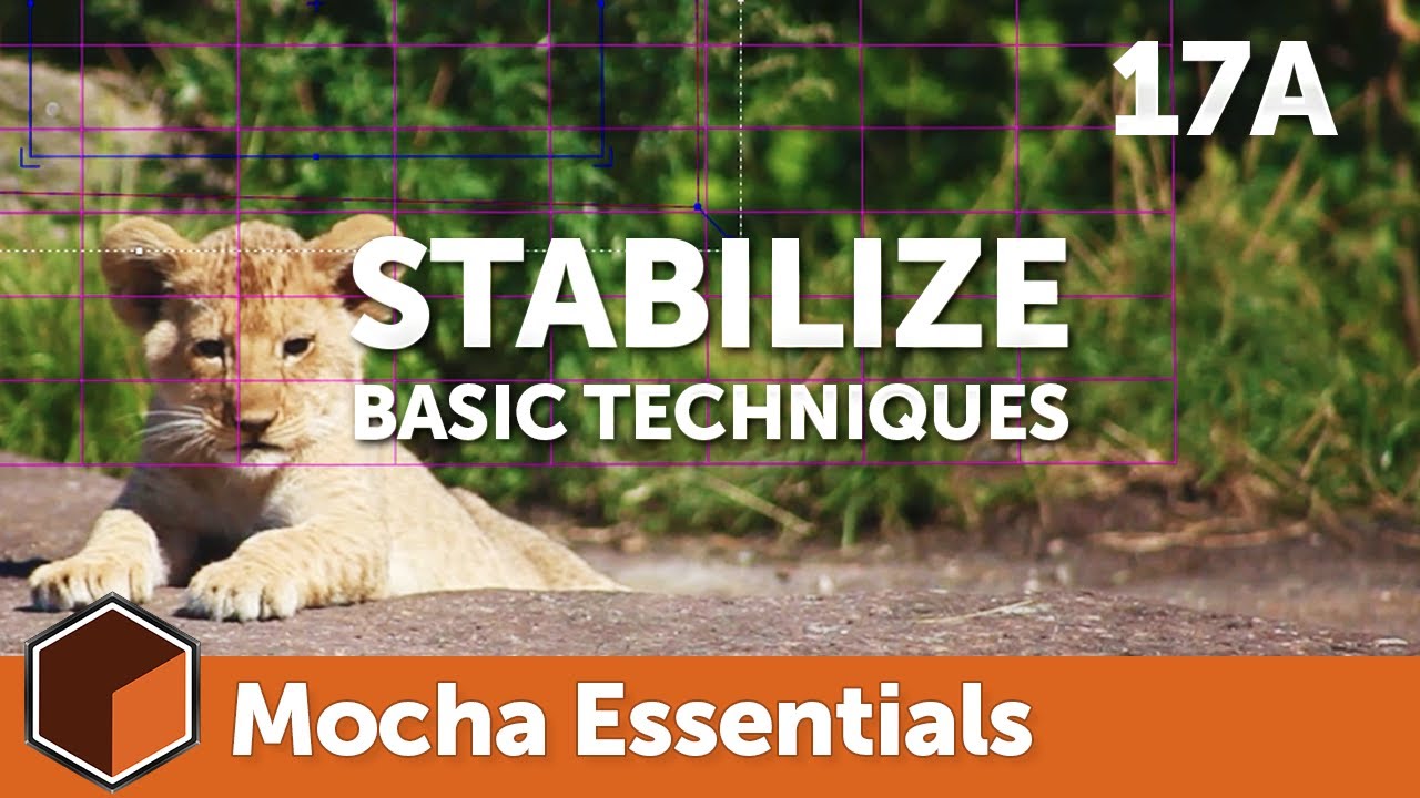 How To Stabilize Footage In Mocha Pro