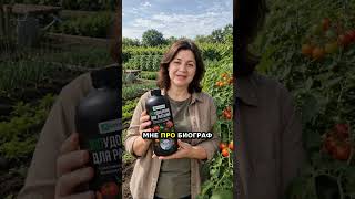 Артикул Biogrowth ВБ: WW348356 — Томаты: урожай без хлопот