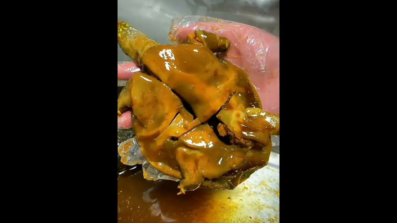 Asian Food Soft Shell Turtle Spicy & Tender Extremely Delicious 