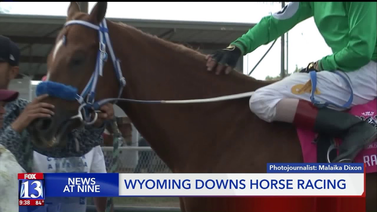 Wyoming Downs horse racing YouTube
