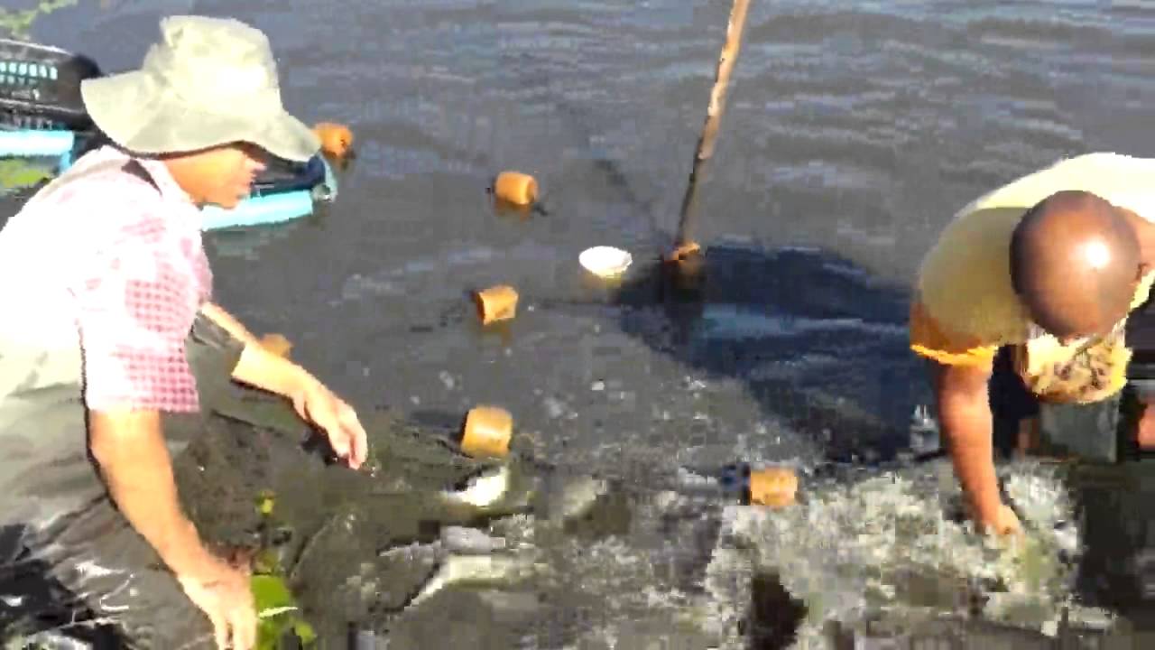 J & J Aquafarms part 3 x264 005 YouTube