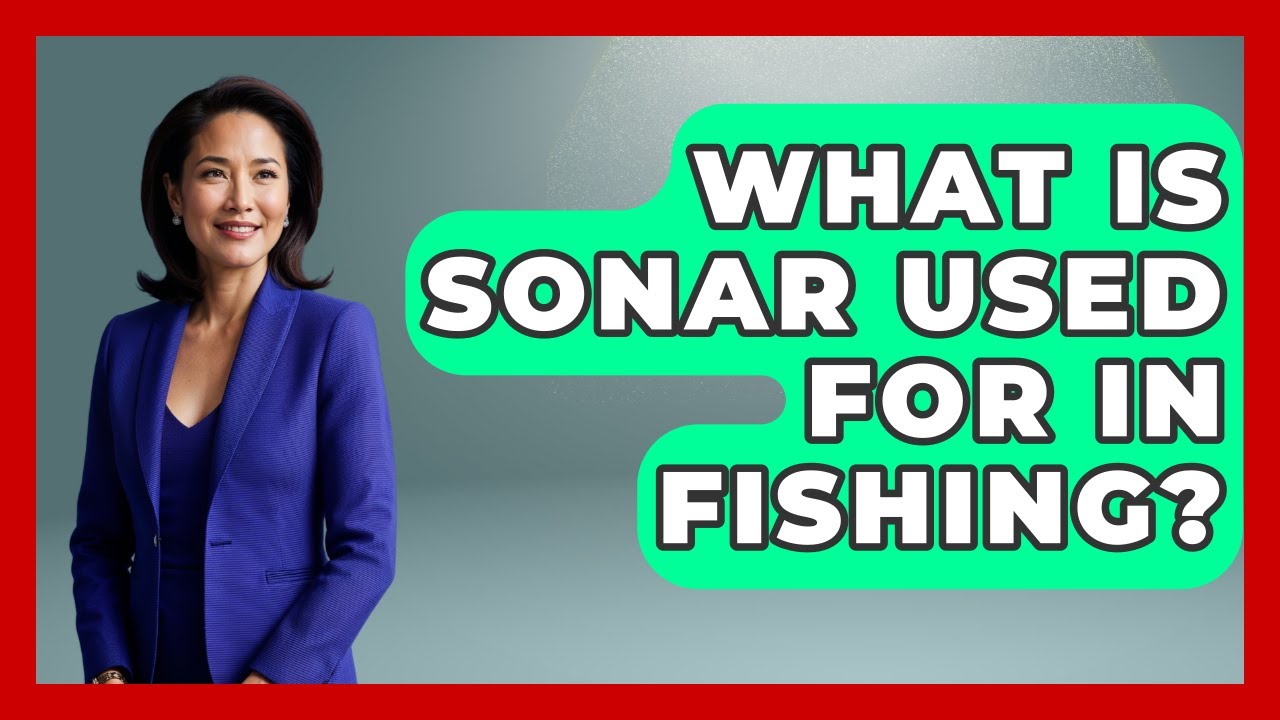 What Is Sonar Used For In Fishing? - Tactical Warfare Experts