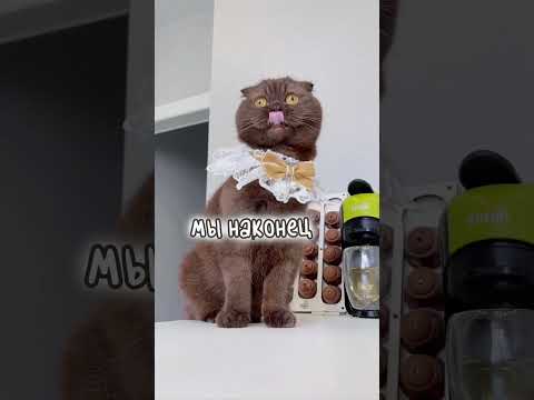 Я подпишусь -