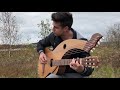 Fields Of Gold - (Sting) -  18 String Harp Guitar - Jamie Dupuis