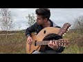 Fields of gold  sting   18 string harp guitar  jamie dupuis