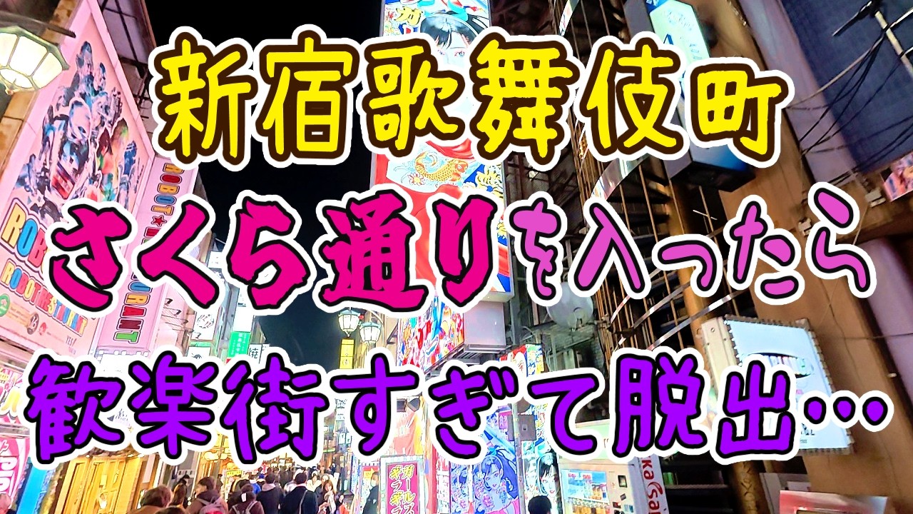 新宿歌舞伎町【さくら通り】を入ったら歓楽街過ぎて脱出….[Sakura Street] Escape after passing the entertainment district...
