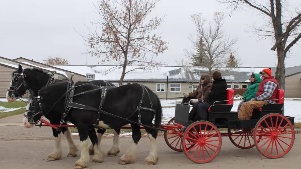Rosetown Harvest Festival