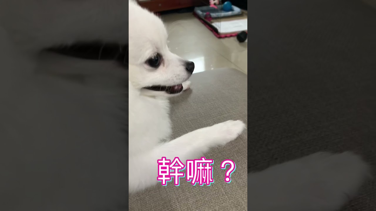 都給你吹就好啦😒😒