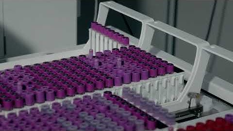 Presentation of the CAPILLARYS 3 TERA MC3