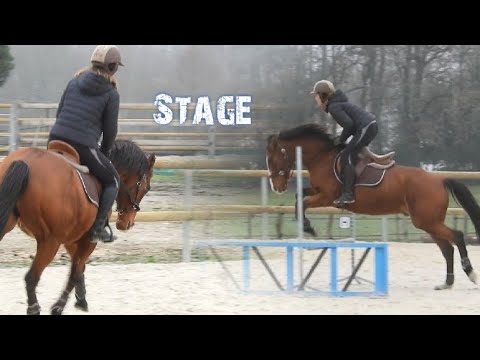 STAGE DE SAUT ET DE TAP AVEC KING