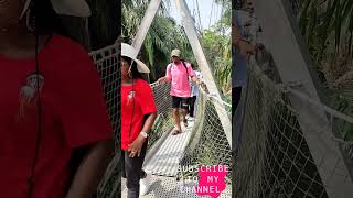 Lekki Conservation Centre Canopy Walk #shorts