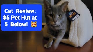 Cat Review: Cat Hut Bed - $5 at 5 Below by Frolicking Felines 77 views 5 months ago 1 minute, 15 seconds