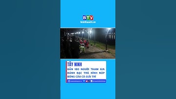 Tây Ninh: Gần 100 người tham gia đánh bạc trá hình núp bóng câu cá giải trí #btv