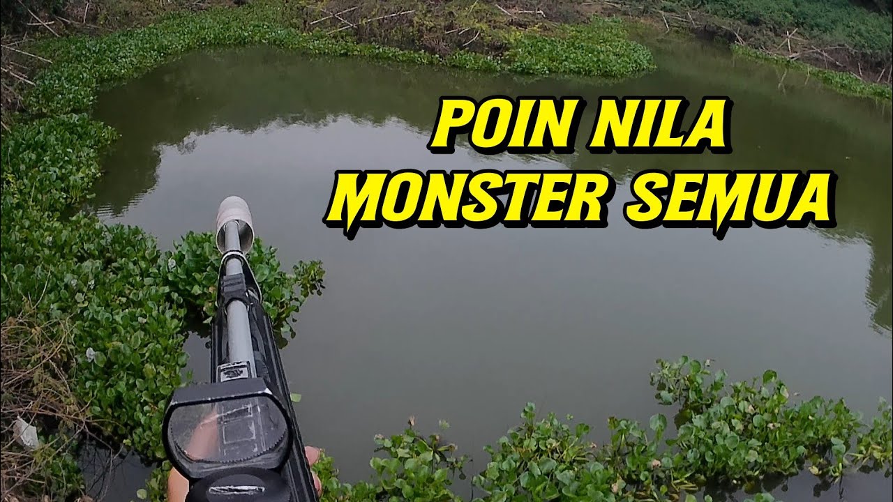 PASER IKAN ] BIKIN MERINDING😱....SEMAKIN SORE IKAN-IKAN MONSTER SEMAKIN BERDATANGAN !!!